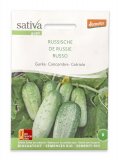 Semi di Cetriolo Russo Bio