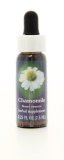 Chamomile - Fiori californiani