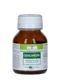 Chancapiedra