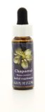 Chaparral - Fiori Californiani