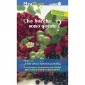 Che bacche sono Queste? — Libro