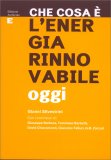 Che Cosa è L'energia Rinnovabile Oggi — Libro
