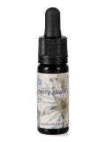 Cherry Plum - Dose