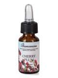 Cherry Plum - Fiori di Bach