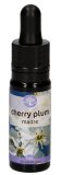 Cherry Plum - Soluzione Madre