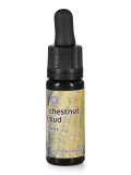 Chestnut Bud - Dose