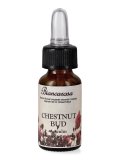 Chestnut Bud - Fiori di Bach