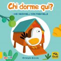 Chi Dorme qui? — Libro
