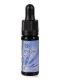 Chicory - Dose
