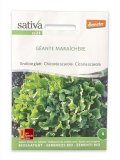 Semi di Cicoria Scarola Bio -  Geante Maraichere