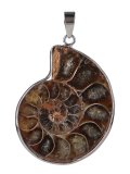 Ciondolo in Ammonite