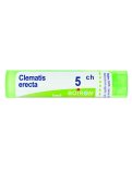 Clematis Erecta Boiron 5CH Granuli
