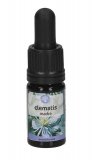 Clematis - Soluzione Madre