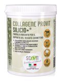 Collagene Provit Silicio+® EGG