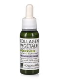 Collagene Vegetale