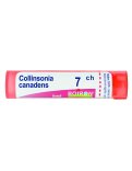 Collinsonia Canadensis Boiron 7CH Granuli