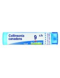 Collinsonia Canadensis Boiron 9CH Granuli