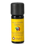 Colour Chakra Oil