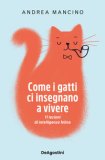 Come I Gatti Ci Insegnano A Vivere 11 Lezioni Di Intelligenza Felina