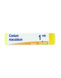 Conium Maculatum Boiron MK Globuli Monodose
