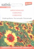 Semi di Coreopsis