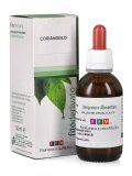 Coriandolo - Soluzione Idroalcolica