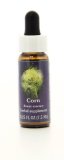 Corn - Fiori californiani