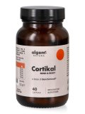 Cortikal - Mind&Body