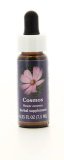 Cosmos - Fiori californiani