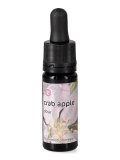 Crab Apple - Dose