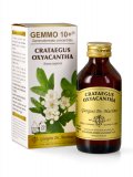 Crataegus Oxyacantha Gemmoderivato Concentrato - Gemmo 10+ ®