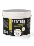 Creatina Micronizzata
