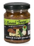 Crema di Funghi Porcini Bio