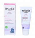 Crema Viso alla Malva Bianca - Baby Derma