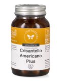Crisantello Americano Plus - Capsule