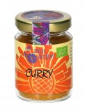 Curry in Polvere Bio