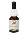 Dagger Hakea - Fiori australiani - 15 ml