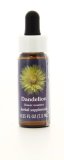 Dandelion - Fiori californiani