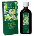 Decotto di Betulla