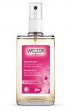 Deodorante Spray alla Rosa Mosqueta