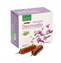 Desmodio