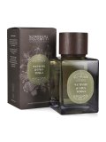 Diffusore d'Essenza con Oli Essenziali - Vetiver e Fava Tonka