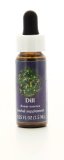Dill - Fiori californiani