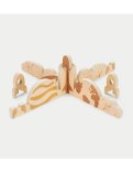 Divisori in Legno Space Discovery