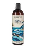 Docciashampoo Fresco Brioso Uva Bianca e Aloe Bio