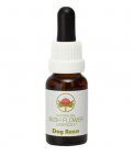 Dog Rose - Fiori australiani - 15 ml