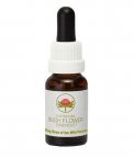 Dog Rose of The Wild Forces - Fiori australiani - 15 ml