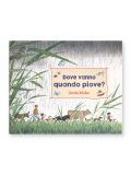 Dove Vanno Quando Piove? — Libro