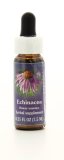 Echinacea - Fiori californiani