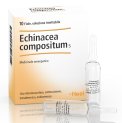 Echinacea Compositum S Heel 10 Fiale